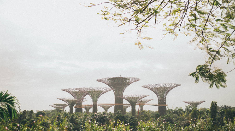 新加坡公司注冊(cè)后需要進(jìn)行的工作有哪些？