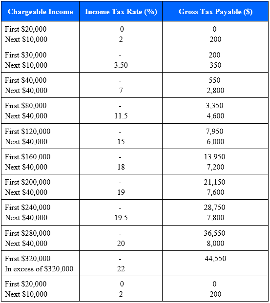 新加坡公司審計