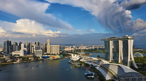 如何選擇適合您的新加坡公司類型？